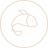 Illustration of a fish in a circle