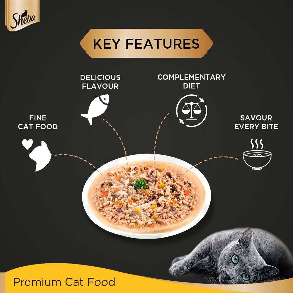 Sheba® Rich Premium Adult (+1 Year) Fine Wet Cat Food, Tuna Pumpkin & Carrot In Gravy (24 x 70g) - 4