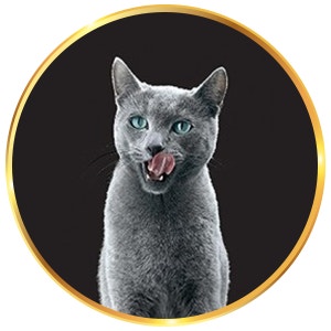 <p>Irresistibly Tasty</p>