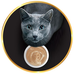 <p>Creamy Texture</p>