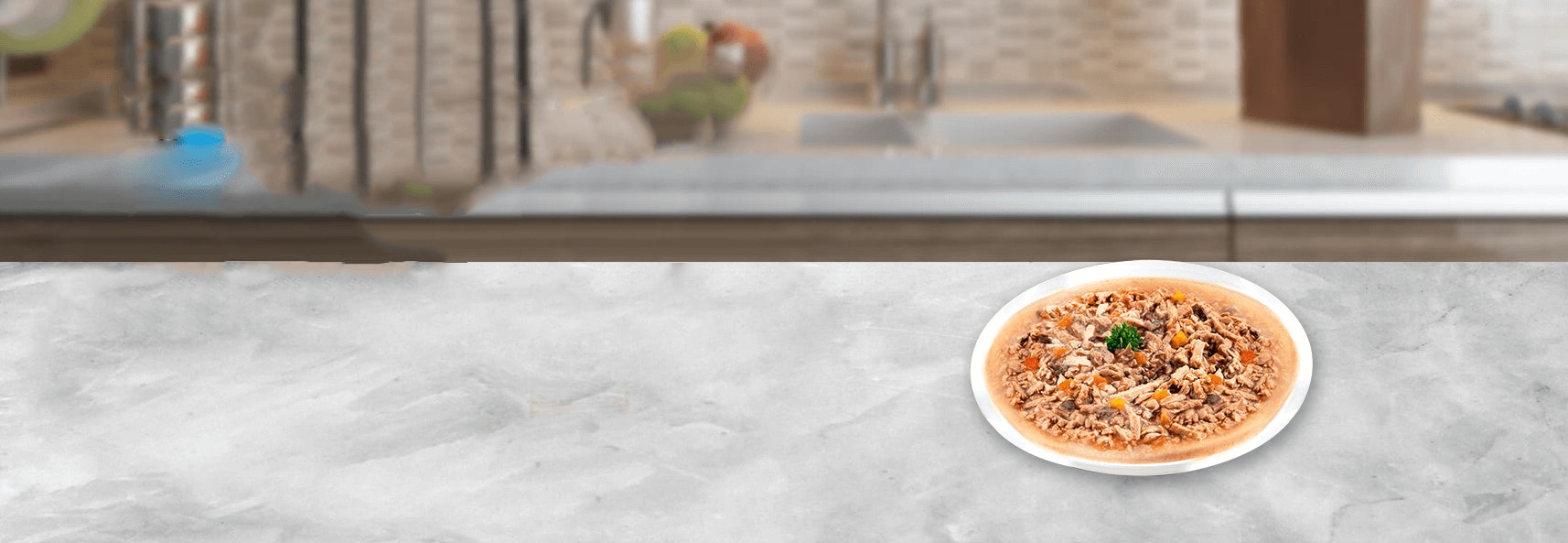 WET CAT FOOD IN GRAVY