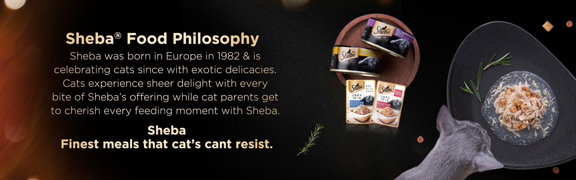 sheba philosophy new